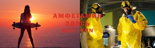 шишки Кодинск