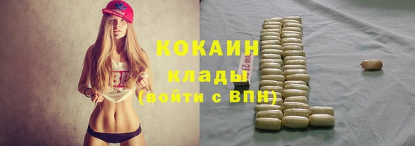 хмурый Алзамай