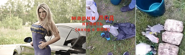 хмурый Алзамай