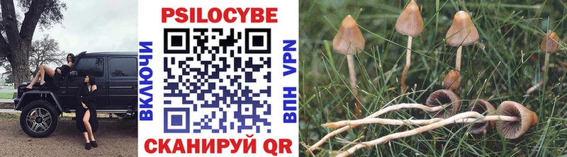 купить цена Себеж darknet формула Галлюциногенные грибы ЛСД