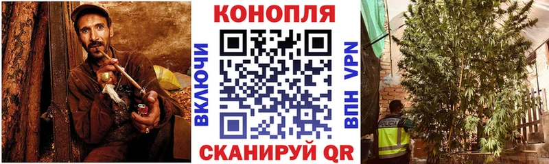 Бошки марихуана Amnesia  как найти закладки  Себеж 